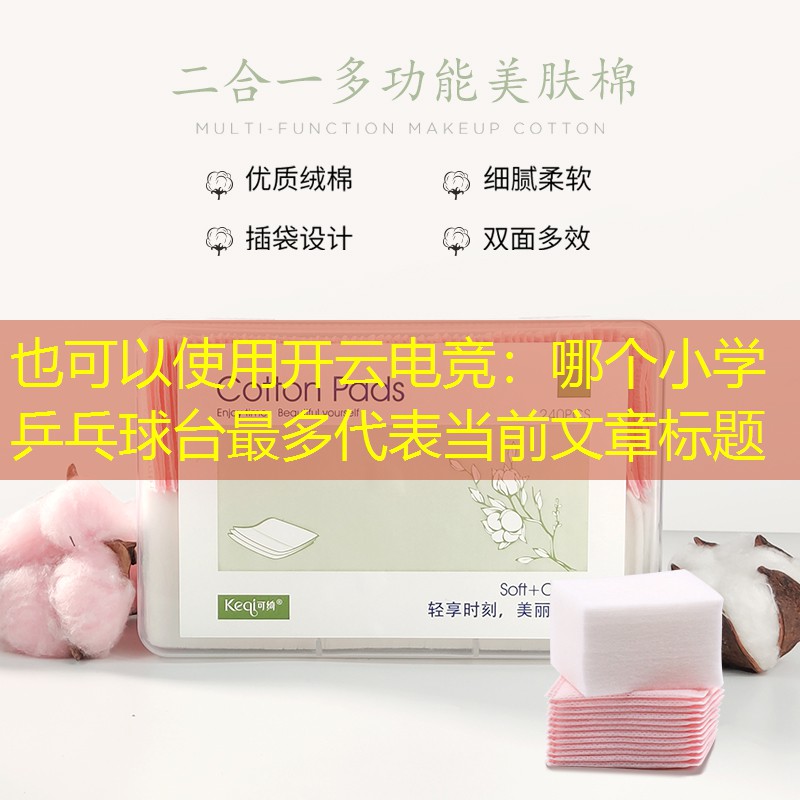 哪个小学乒乓球台最多